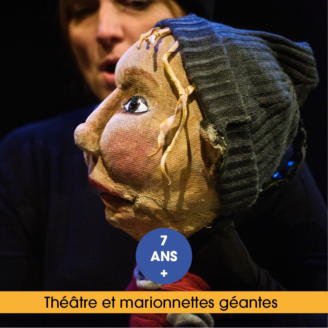 LA CLASSE DES MAMMOUTHS